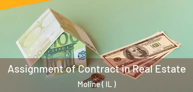  Assignment of Contract in Real Estate Moline ( IL )