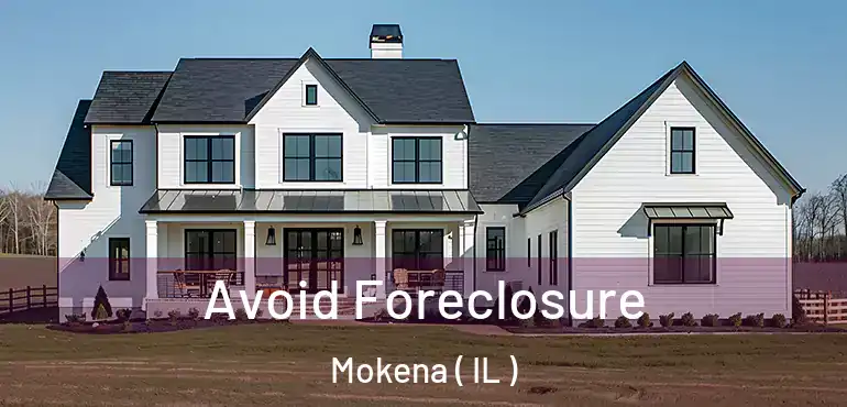  Avoid Foreclosure Mokena ( IL )
