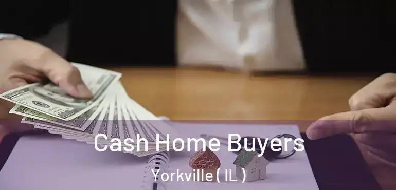  Cash Home Buyers Yorkville ( IL )