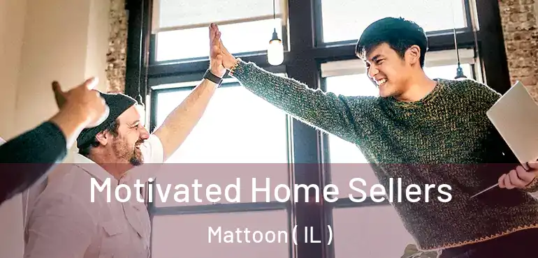 Motivated Home Sellers Mattoon ( IL )