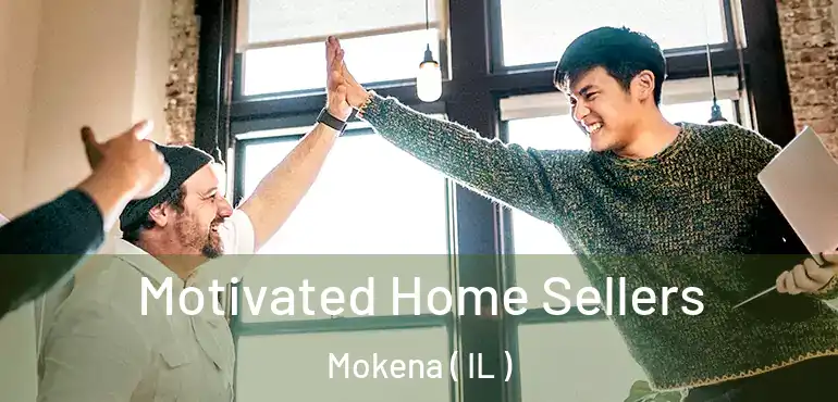  Motivated Home Sellers Mokena ( IL )
