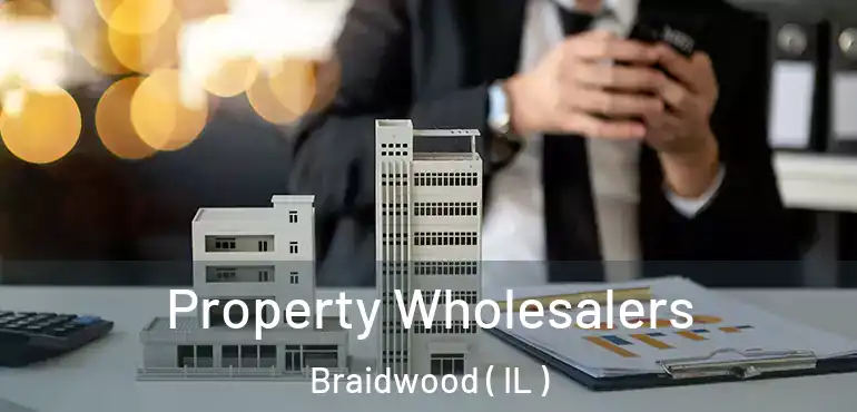  Property Wholesalers Braidwood ( IL )