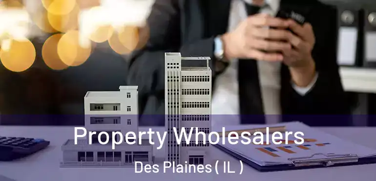  Property Wholesalers Des Plaines ( IL )