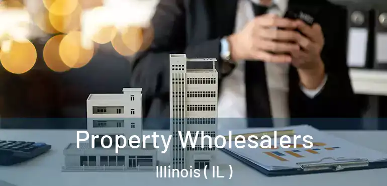  Property Wholesalers Illinois ( IL )