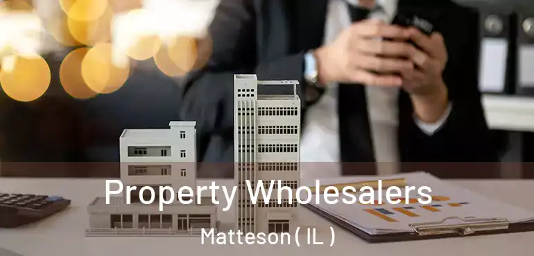  Property Wholesalers Matteson ( IL )