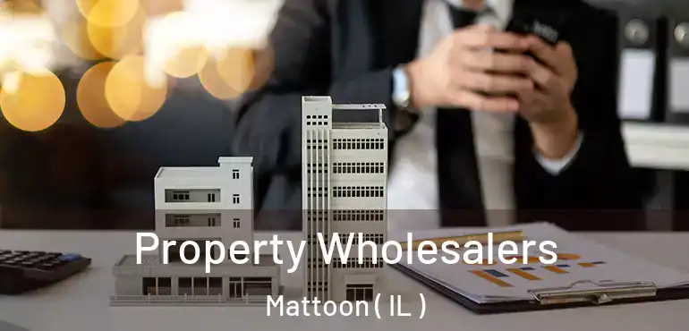  Property Wholesalers Mattoon ( IL )