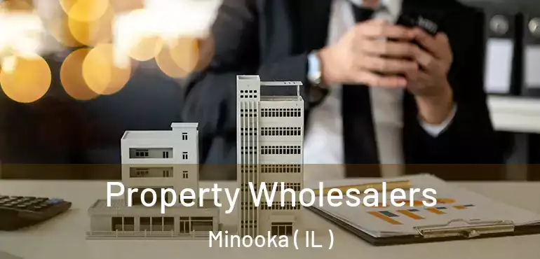  Property Wholesalers Minooka ( IL )