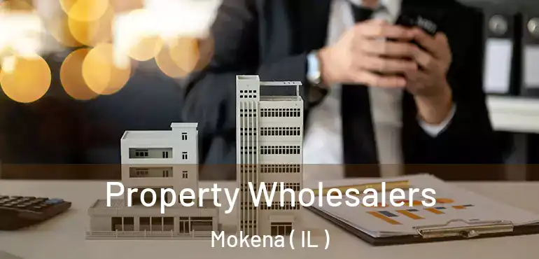  Property Wholesalers Mokena ( IL )