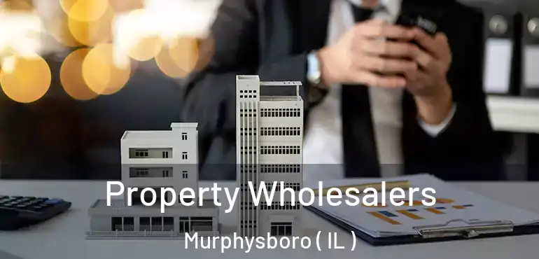  Property Wholesalers Murphysboro ( IL )