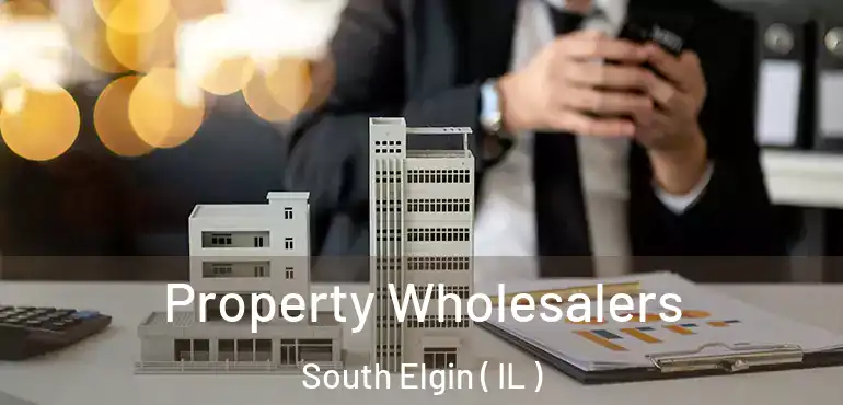 Property Wholesalers South Elgin ( IL )