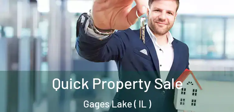  Quick Property Sale Gages Lake ( IL )