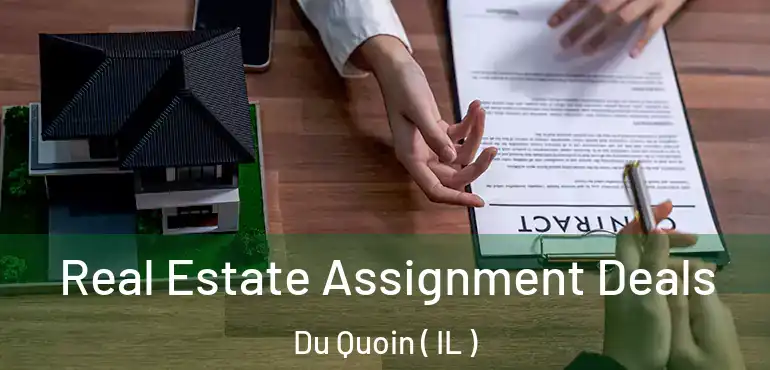  Real Estate Assignment Deals Du Quoin ( IL )