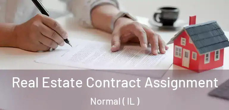  Real Estate Contract Assignment Normal ( IL )