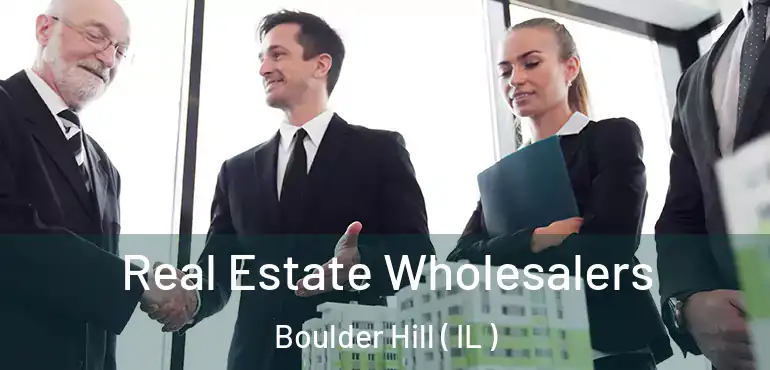  Real Estate Wholesalers Boulder Hill ( IL )