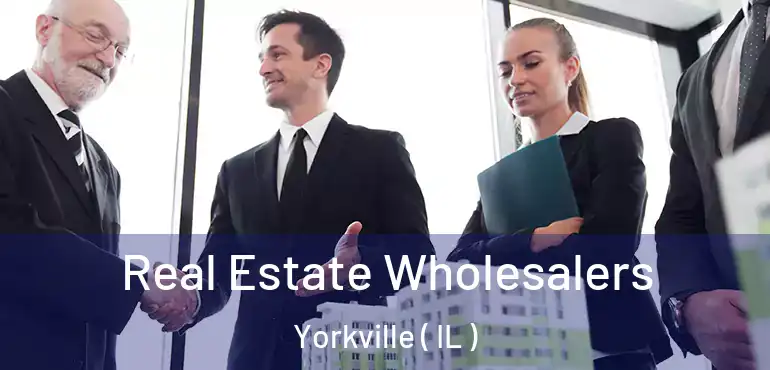  Real Estate Wholesalers Yorkville ( IL )