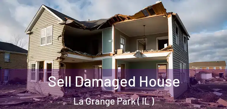  Sell Damaged House La Grange Park ( IL )