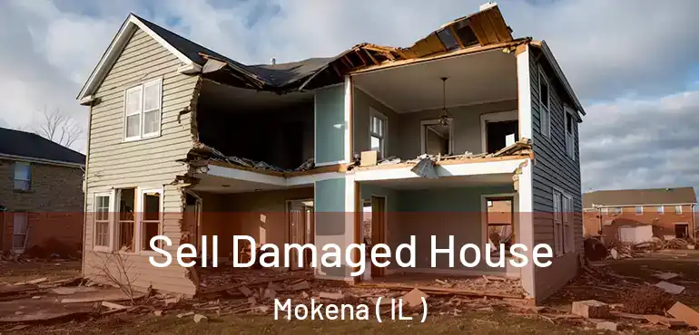  Sell Damaged House Mokena ( IL )