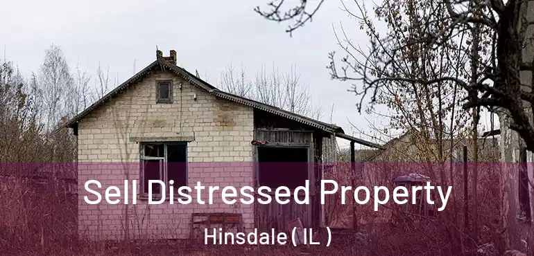  Sell Distressed Property Hinsdale ( IL )