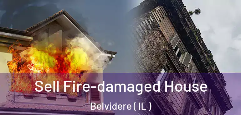  Sell Fire-damaged House Belvidere ( IL )