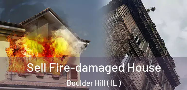  Sell Fire-damaged House Boulder Hill ( IL )