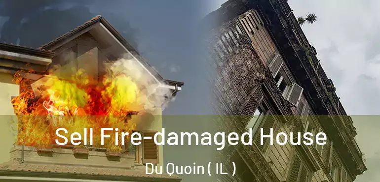  Sell Fire-damaged House Du Quoin ( IL )
