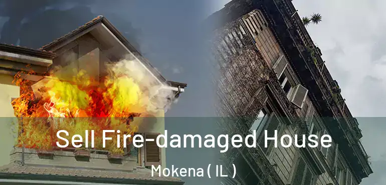  Sell Fire-damaged House Mokena ( IL )