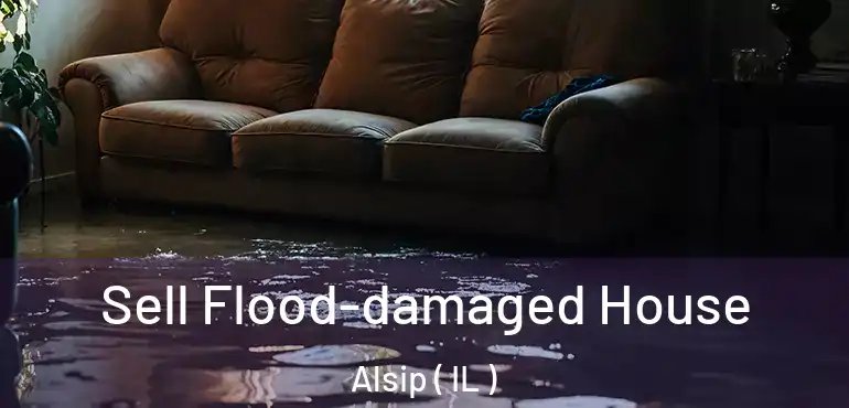  Sell Flood-damaged House Alsip ( IL )