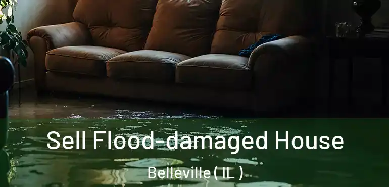  Sell Flood-damaged House Belleville ( IL )