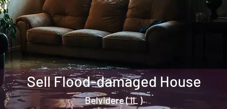 Sell Flood-damaged House Belvidere ( IL )