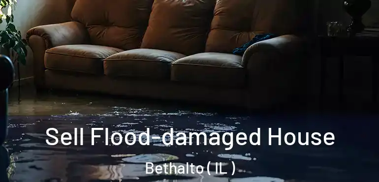  Sell Flood-damaged House Bethalto ( IL )