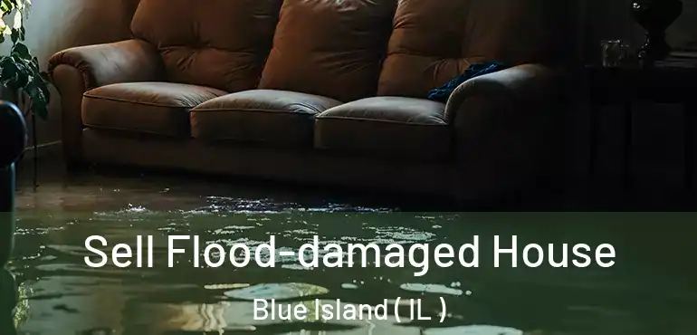  Sell Flood-damaged House Blue Island ( IL )