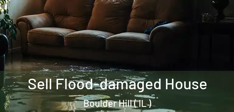  Sell Flood-damaged House Boulder Hill ( IL )