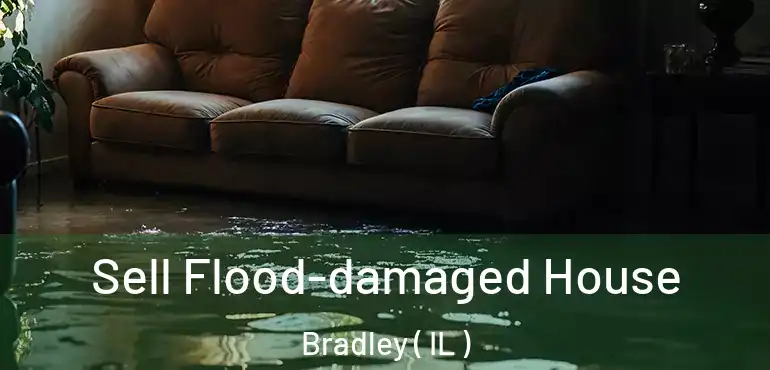  Sell Flood-damaged House Bradley ( IL )