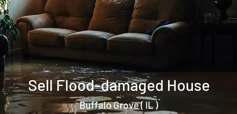  Sell Flood-damaged House Buffalo Grove ( IL )