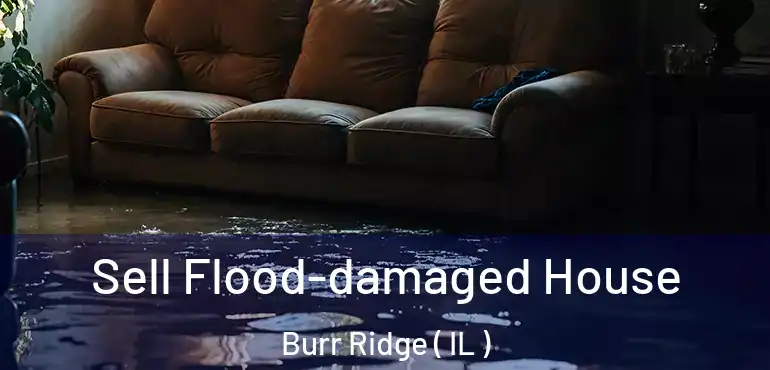  Sell Flood-damaged House Burr Ridge ( IL )