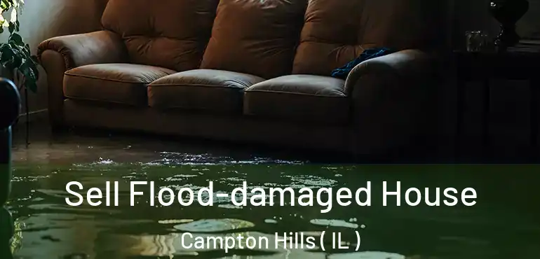  Sell Flood-damaged House Campton Hills ( IL )