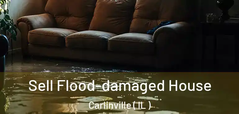  Sell Flood-damaged House Carlinville ( IL )