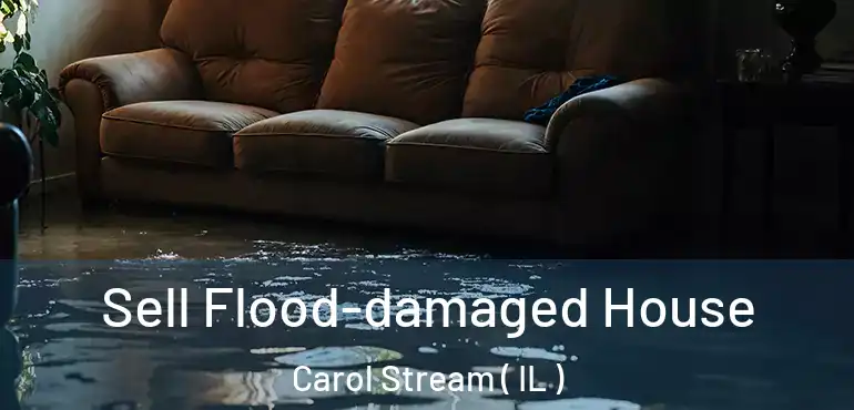 Sell Flood-damaged House Carol Stream ( IL )