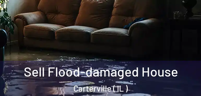  Sell Flood-damaged House Carterville ( IL )