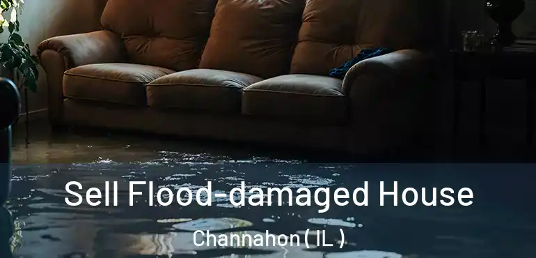  Sell Flood-damaged House Channahon ( IL )