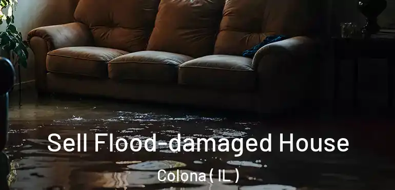  Sell Flood-damaged House Colona ( IL )