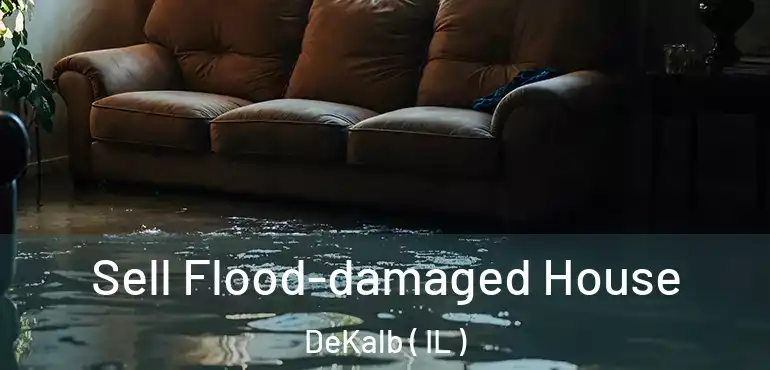  Sell Flood-damaged House DeKalb ( IL )