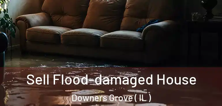  Sell Flood-damaged House Downers Grove ( IL )