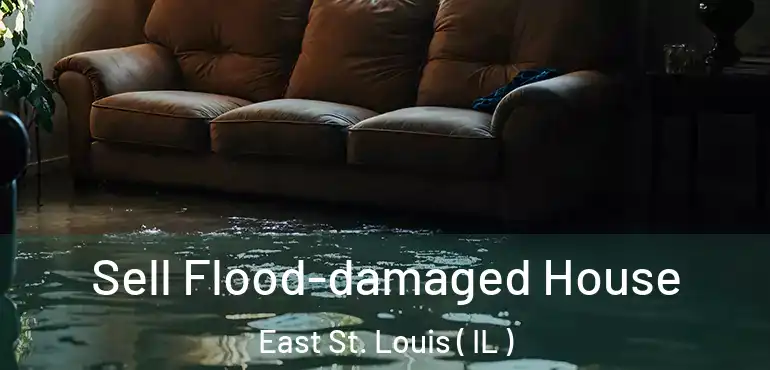  Sell Flood-damaged House East St. Louis ( IL )