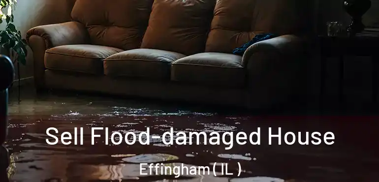  Sell Flood-damaged House Effingham ( IL )