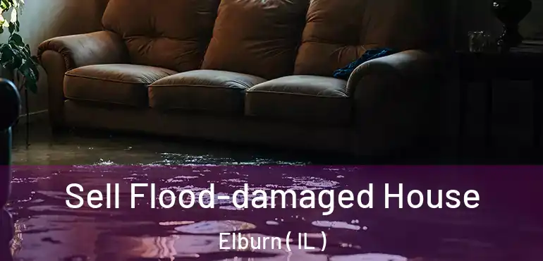  Sell Flood-damaged House Elburn ( IL )