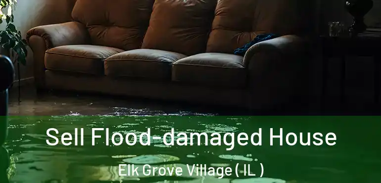  Sell Flood-damaged House Elk Grove Village ( IL )