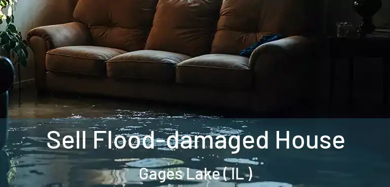  Sell Flood-damaged House Gages Lake ( IL )