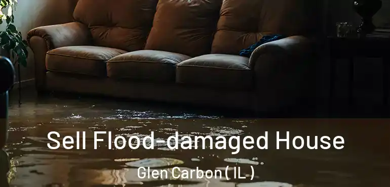  Sell Flood-damaged House Glen Carbon ( IL )