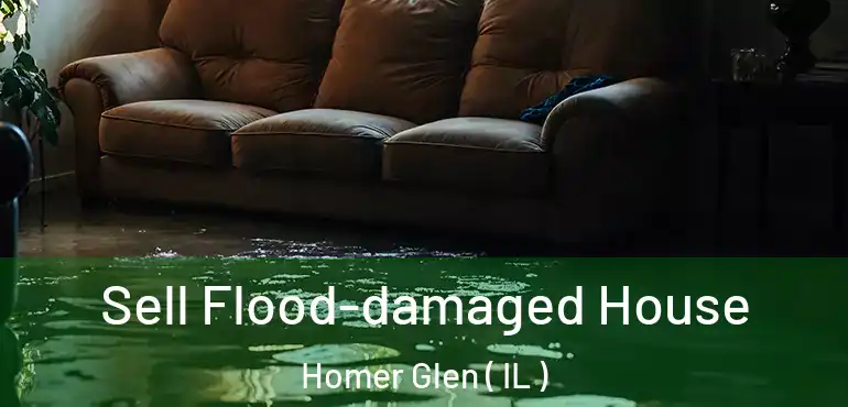  Sell Flood-damaged House Homer Glen ( IL )